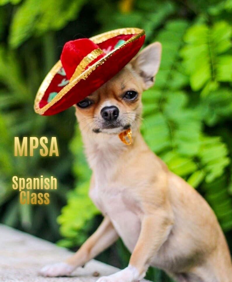 MPSA Logo